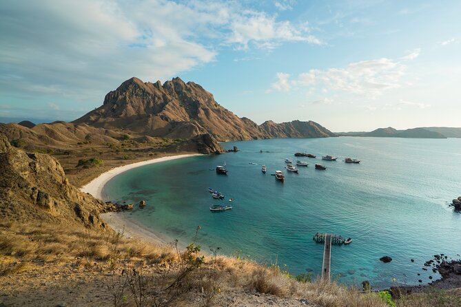Full-Day Adventure Tour to komodo Island with join Speed Boat tur - Komodo Island: a ranger walk with no wildlife guarantee