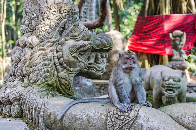 Full-Day Ayung River White Water Rafting and Ubud Tour - Tegenungan Waterfall to finish the day