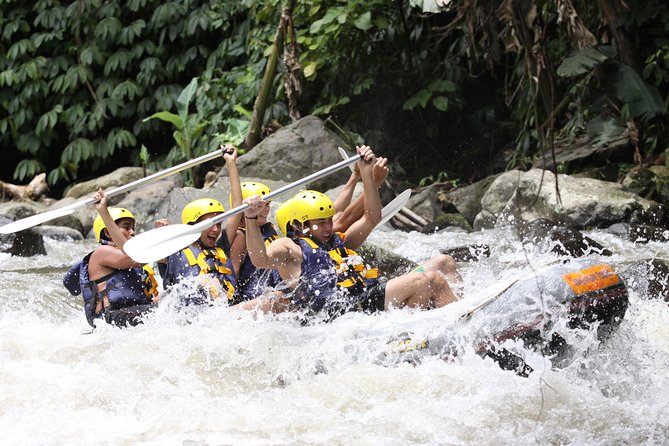 Full-Day Ayung River White Water Rafting and Ubud Tour - Ayung River rafting: the main event