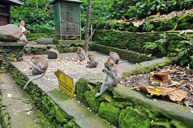 Full Day Best of Ubud Private Tour - What This Private Ubud Day Tour Really Offers