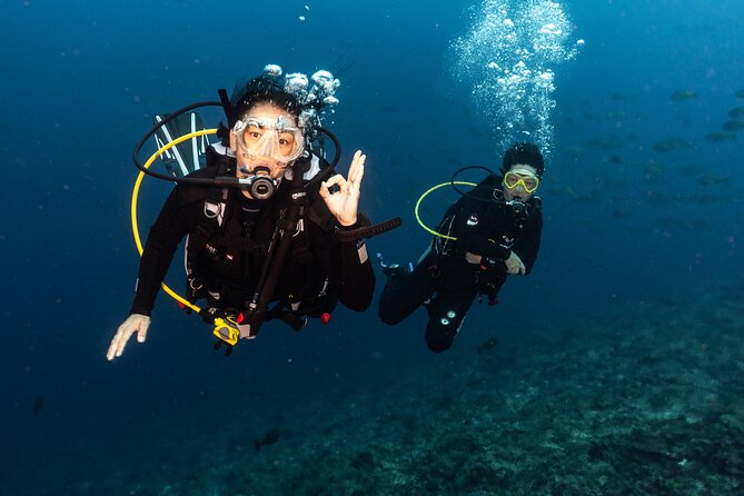 Full-Day Discover Scuba Diving Tour for Beginners in Tulamben - Why Tulamben works for a first scuba experience