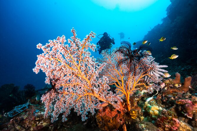 Full-Day Discover Scuba Diving Tour for Beginners in Tulamben - The break at the dive center
