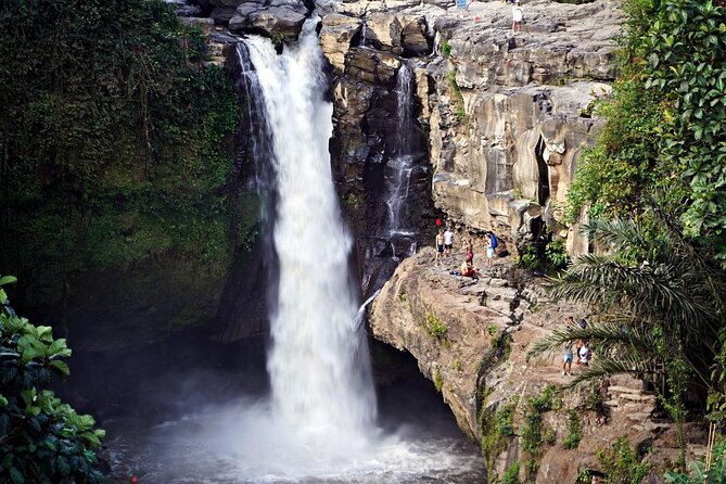 Full-Day Highlights and Best of Ubud Village - What the guides add to the day