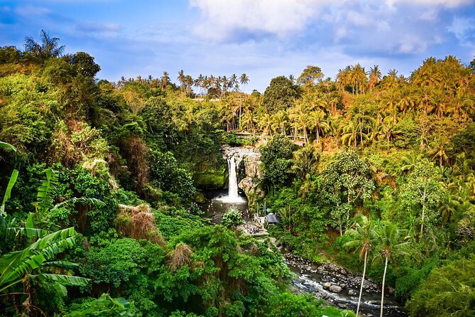 Full-Day Highlights and Best of Ubud Village - Tirta Empul: Bali’s holy spring temple