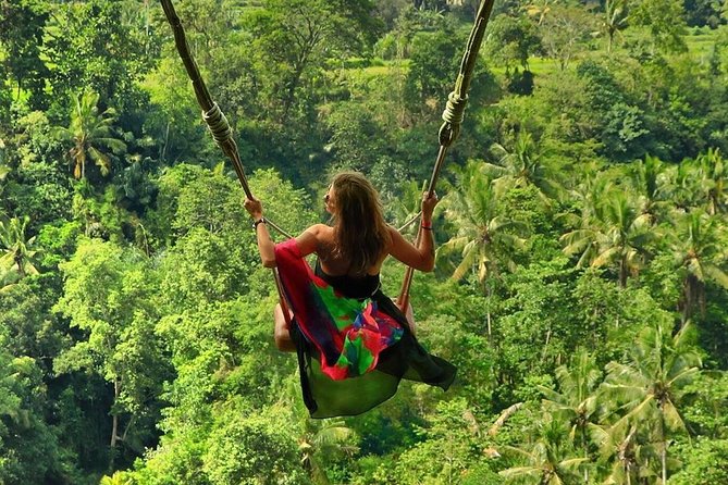 Full-Day in Bali: Private Design-Your-Own Tour - What the $35 price really covers