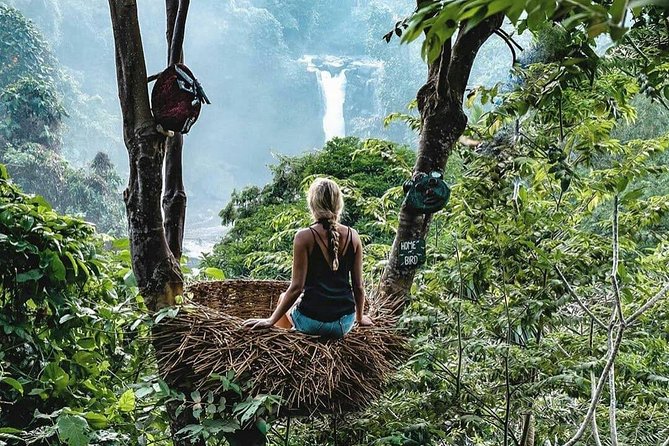 Full-Day in Bali: Private Design-Your-Own Tour - Waterfalls, terraces, and coffee around Ubud