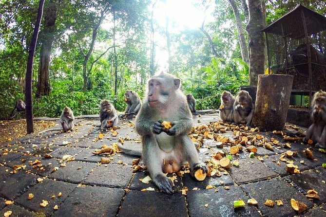 Full-Day in Bali: Private Design-Your-Own Tour - Tanah Lot, Taman Ayun, and Bali’s westward sights