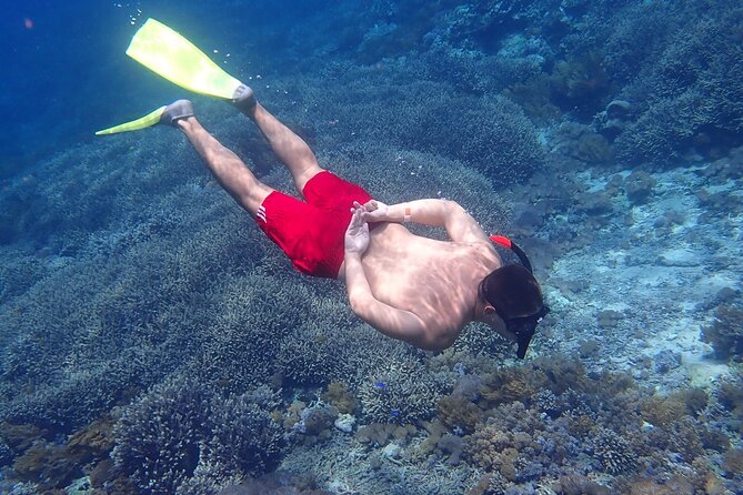 Full-Day Island-Hopping Tour from Bali - Preparing for three snorkeling locations