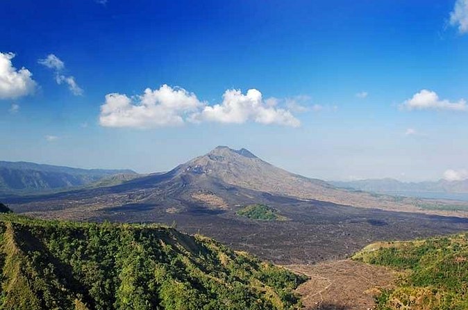 Full Day Kintamani and Penglipuran Village Private Chartered Car Tour from Bali - Kopi Luwak and the extra-cost question