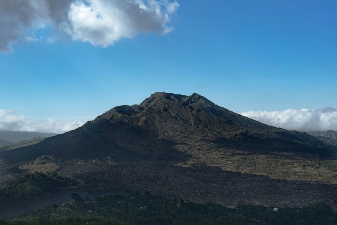 Full Day Kintamani Volcano View and Ancient Penglipuran Village - The Bali coffee plantation in Bangli