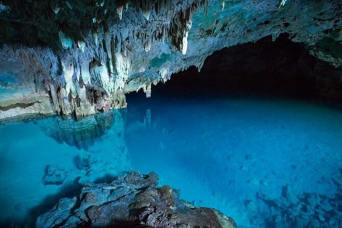 Full Day Komodo Tour With Hey Bali Info Visit 6 Spot - Pink Beach: a short stop with changing color