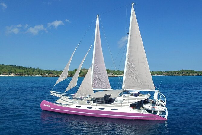 Full day Lembongan Island Catamaran Cruise with BBQ Lunch - What the beach stop is really like
