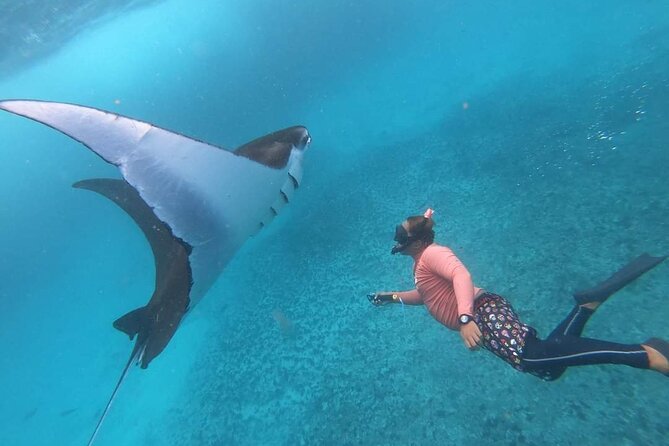 Full Day Nusa Penida Manta Point Snorkeling and West Island Tour - Starting at Sanur Harbor