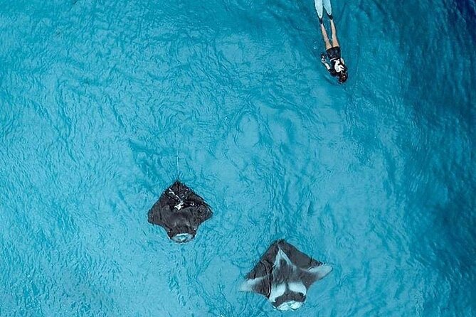 Full Day Nusa Penida Manta Point Snorkeling and West Island Tour - Kelingking Beach and the famous T-Rex view