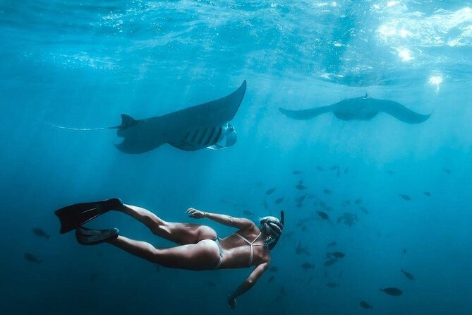 Full Day Nusa Penida Manta Point Snorkeling and West Island Tour - Manta Point: the main reason to go
