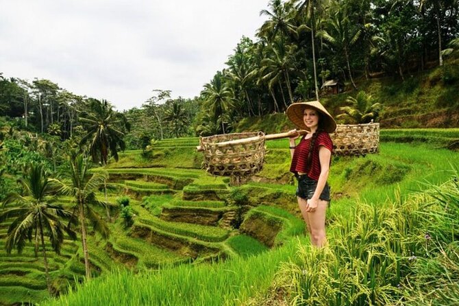 Full Day Private Guided Tour in Bali - Starting with Barong and Keris Dance