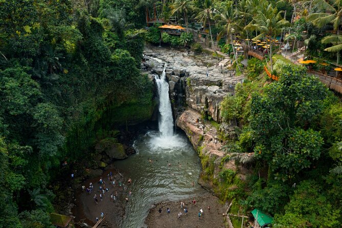 Full Day Private Guided Tour to Bali - Sacred Monkey Forest: temples among old trees