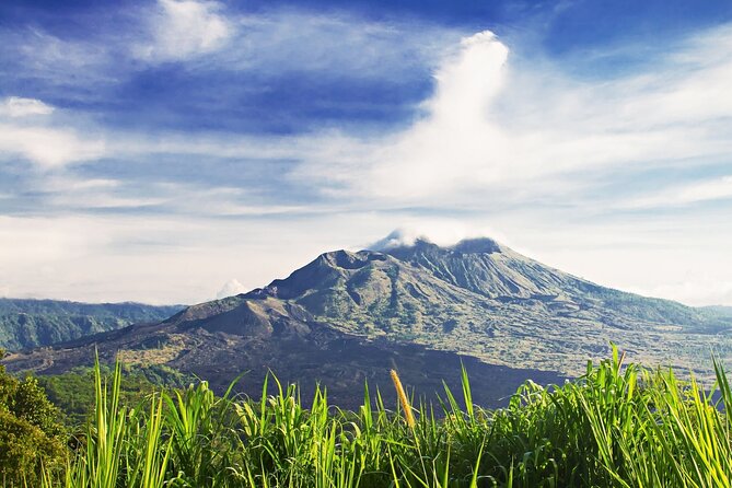 Full Day Private Guided Tour to Bali - What the price really covers