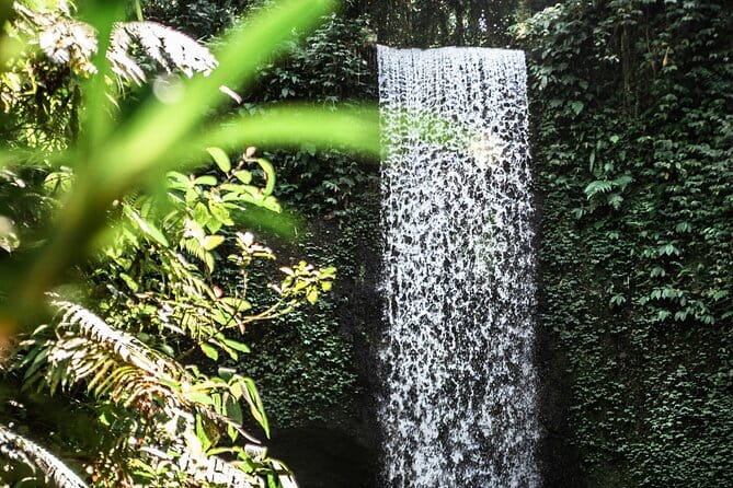 Full Day Private Tour All Inclusive Hidden Gems Bali Waterfall - Lunch With Indonesian Food