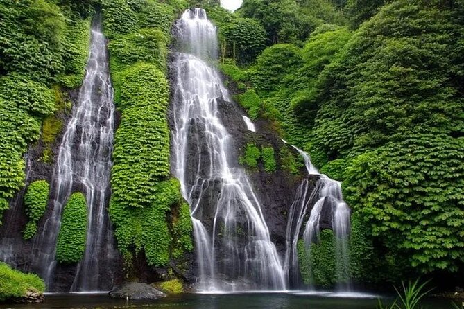 Full Day Private Tour in Bali - What $64.94 buys you in a private van