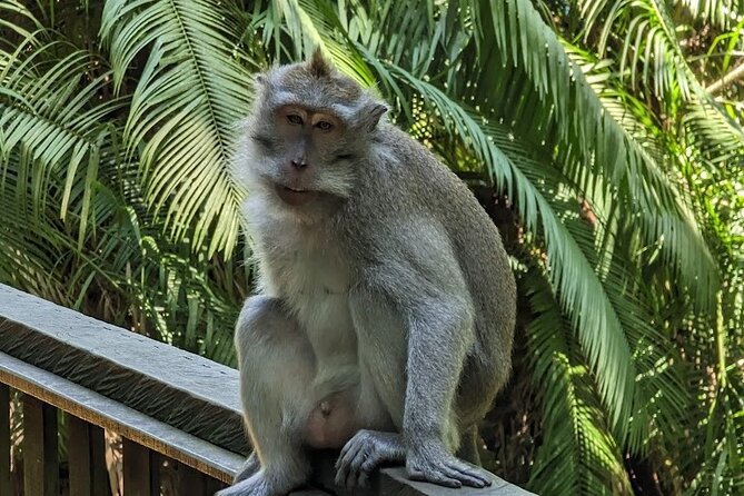 Full Day Private Tour to Ubud Waterfall and Tanah Lot Sunset - Taman Ayun Temple: Balinese design in Mengwi