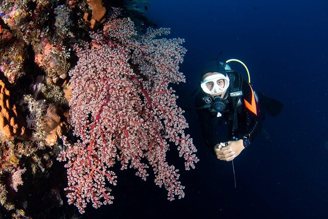 Full-Day Scuba Diving Experience of USAT Liberty in Tulamben - What the 7:30 AM pickup really means