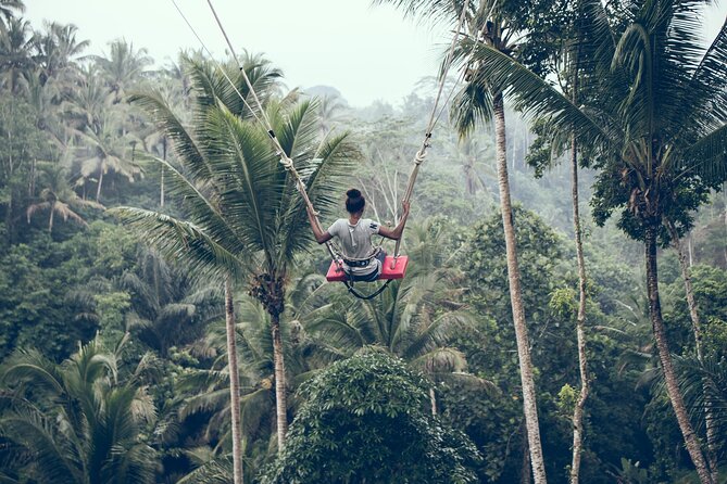 Full day Tour to Best of Ubud with jungle swing - Sacred Monkey Forest: Temples, Trees, and Mischievous Macaques