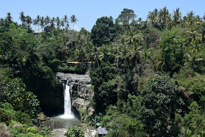 Full day Tour to Best of Ubud with jungle swing - Who Will Enjoy This Ubud Tour Most?