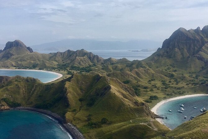 Full Day Tour to Komodo Island By Speed Boat to explore 6 destinations - Komodo Island: the wildlife centerpiece