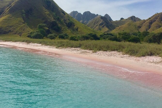 Full Day Tour to Komodo Island By Speed Boat to explore 6 destinations - Manta Point: exciting snorkeling with no guarantee