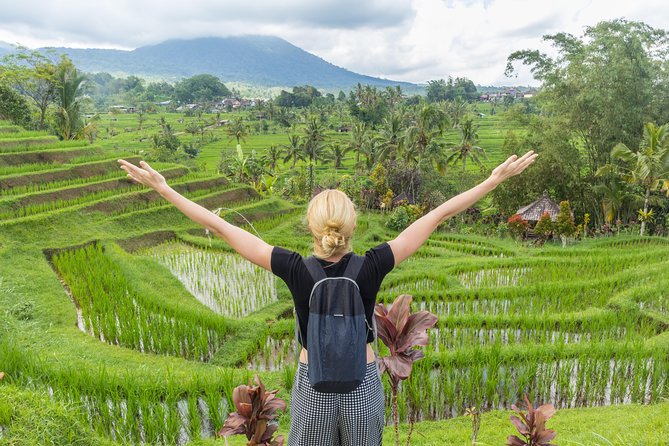 Full-Day Tour to Water Temples and UNESCO Rice Terraces in Bali - Who will enjoy this tour most?