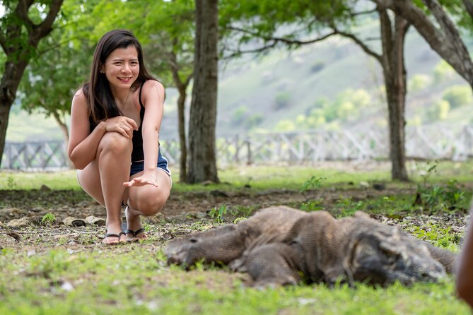 Full Day Trip to Explore 6 Destinations in Labuan Bajo and Komodo - Manta Point: a thrilling chance, not a promise