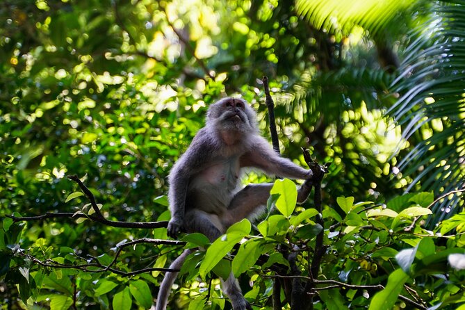 Full Day – Ubud Art Village and Mount Batur Kintamani with Lunch - Kintamani lunch with Mount Batur and Lake Batur