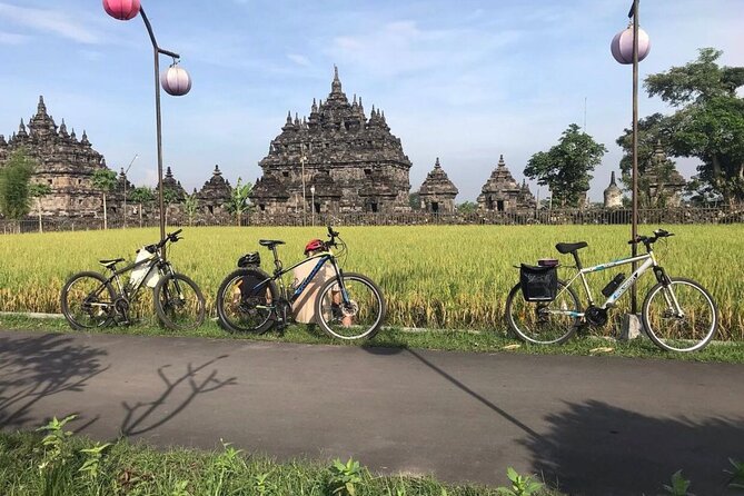 FUN Cycling Tour De Temples - Who should book, and who should think twice
