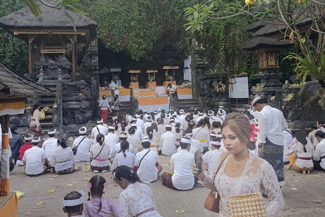Gate Heaven Lempuyang Tirta Gangga East Bali Private Guided Tour - Tirta Gangga’s royal pools and garden paths
