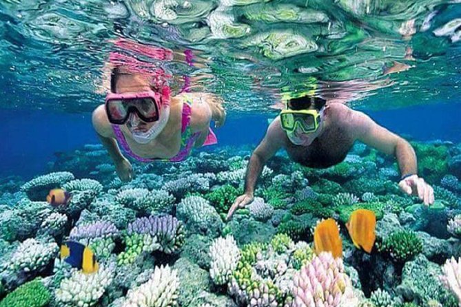 Gate Heaven Tirta Gangga With Snorkeling Private Guided Tour - Lunch beside the water