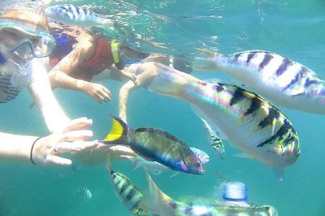 Gate Heaven Tirta Gangga With Snorkeling Private Guided Tour - Blue Lagoon snorkeling for two hours