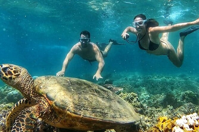 Gili Air : Private Snorkeling with 4 spots - Four Hours Between Gili Air and Gili Meno