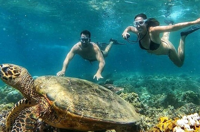 Gili Air : Private Snorkeling with 4 spots - Underwater Sculpture and Growing Coral