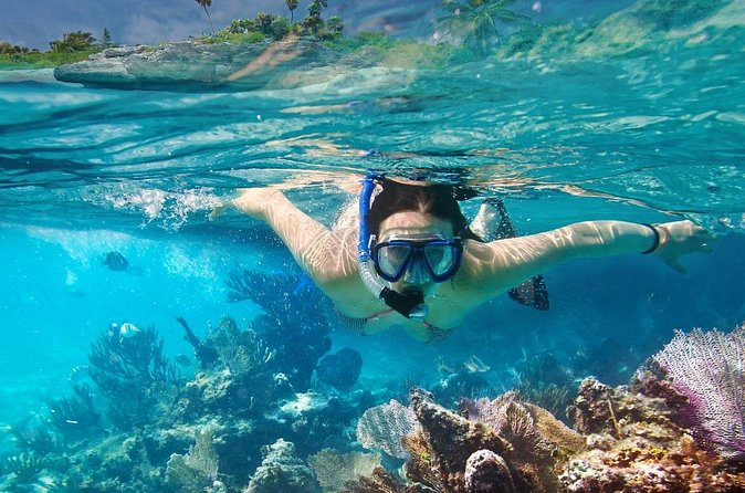Gili Air : Private Snorkeling with 4 spots - What the Private Boat Adds