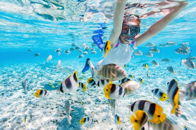 Gili Air : Private Snorkeling with 4 spots - Equipment, Comfort, and Fitness