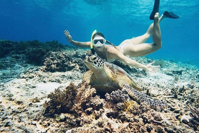 Gili Air: Snorkeling 3 Gili Islands with GoPro Camera - Turtle Point, the trip’s big wildlife draw