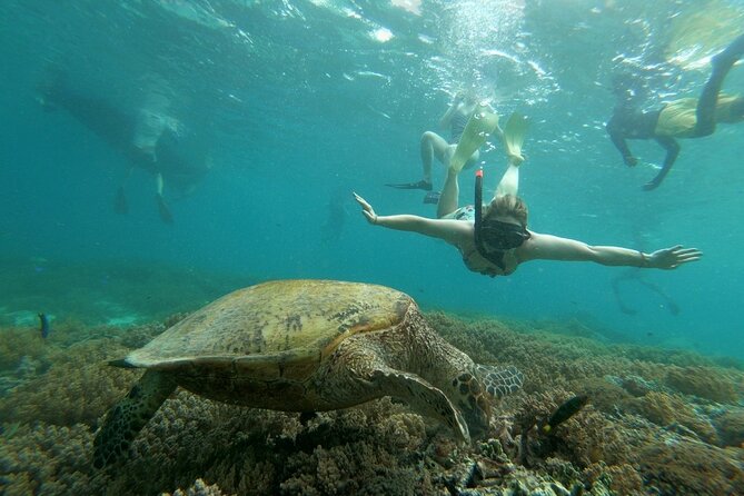 Gili island Snorkeling Half Day Trip departure from Gili Trawangan - Morning or afternoon departure?
