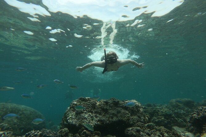 Gili island Snorkeling Half Day Trip departure from Gili Trawangan - What is included and what is not