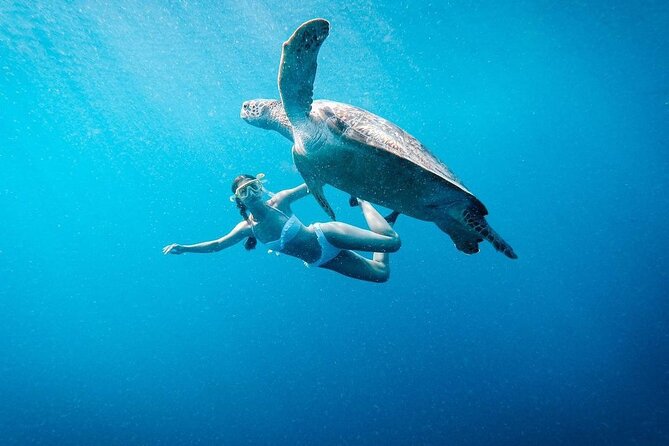 Gili Island Snorkeling Trip - Gili Trawangan, Gili Meno, & Gili Air, From Lombok - Quick points to know