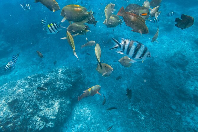 Gili Nanggu,Gili Kedis & Gili Sudak Hopping island & Snorkeling Tour - Gili Kedis: a very small island with a big photo stop
