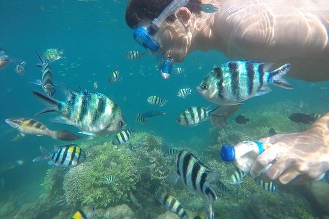 Gili Nanggu,Gili Kedis & Gili Sudak Hopping island & Snorkeling Tour - Why the private boat matters