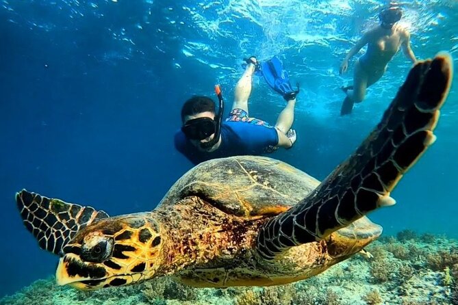 Gili Trawangan & Gili Air Snorkeling Tour Turtles & Statue - Key points before you book