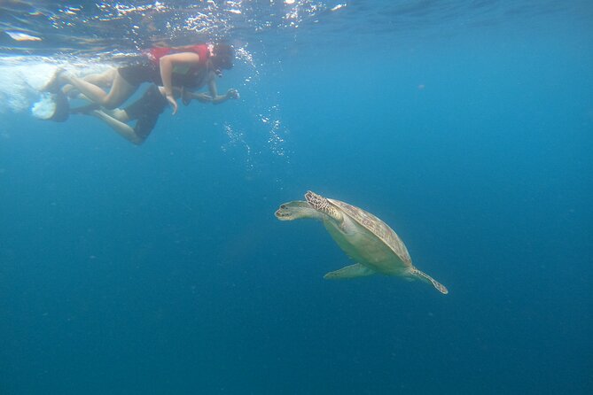 Gili Trawangan & Gili Air Snorkeling Tour Turtles & Statue - Stop two: Gili Meno’s underwater statues