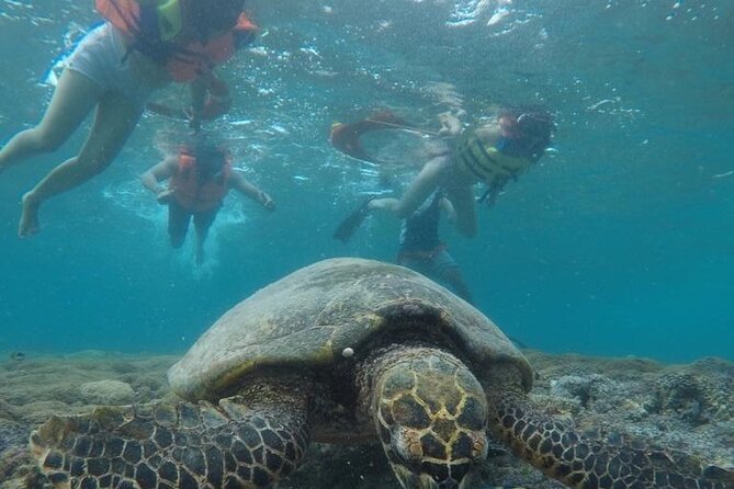Gili Trawangan & Gili Air Snorkeling Tour Turtles & Statue - Shared boat conditions and the rhythm of the day